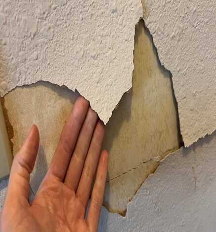 WhatsApp Image 2026-04-02 at 10. (1)