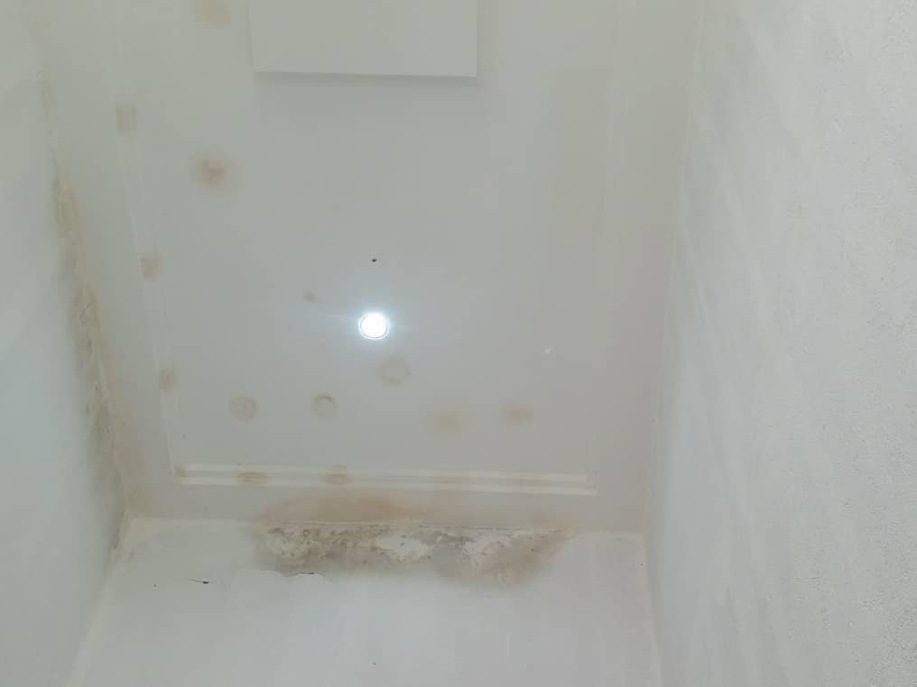 WhatsApp Image 2026-04-02 at 10.46.41 PM (1)